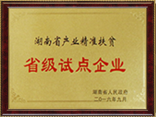 省级试点企业