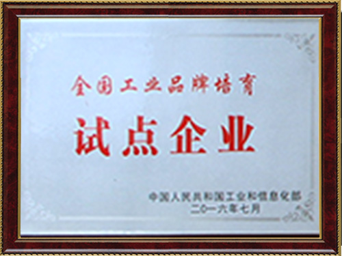 试点企业