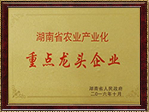 重点龙头企业