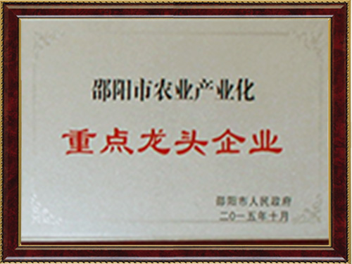重点龙头企业