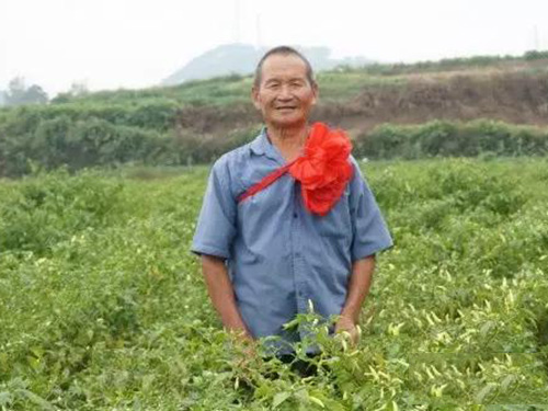 种植示范户