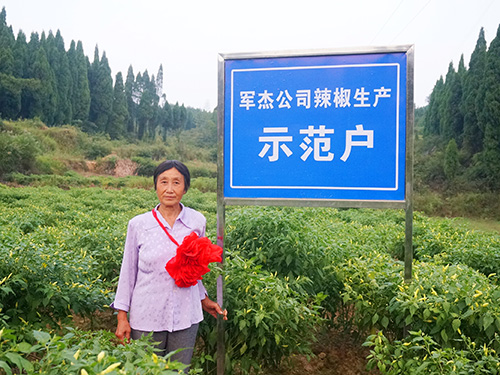 示范户