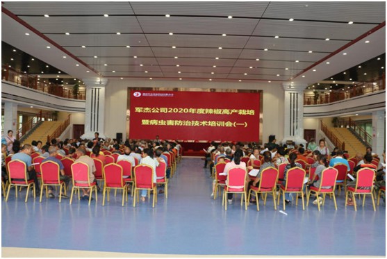 湖南军杰辣椒,军杰剁辣椒,湖南剁辣椒 湖南军杰辣椒,军杰剁辣椒,湖南剁辣椒
