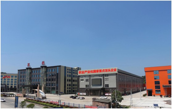 湖南军杰辣椒,军杰剁辣椒,湖南剁辣椒 湖南军杰辣椒,军杰剁辣椒,湖南剁辣椒
