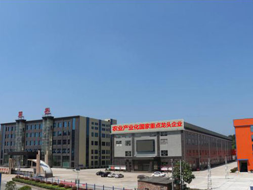 湖南军杰辣椒,军杰剁辣椒,湖南剁辣椒 湖南军杰辣椒,军杰剁辣椒,湖南剁辣椒