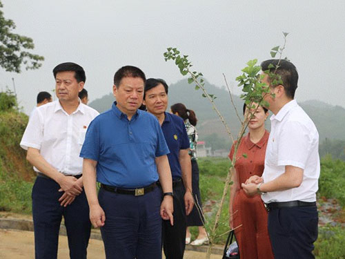 湖南军杰辣椒,军杰剁辣椒,湖南剁辣椒 湖南军杰辣椒,军杰剁辣椒,湖南剁辣椒
