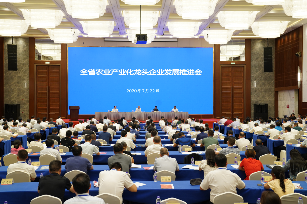 湖南军杰辣椒,军杰剁辣椒,湖南剁辣椒 