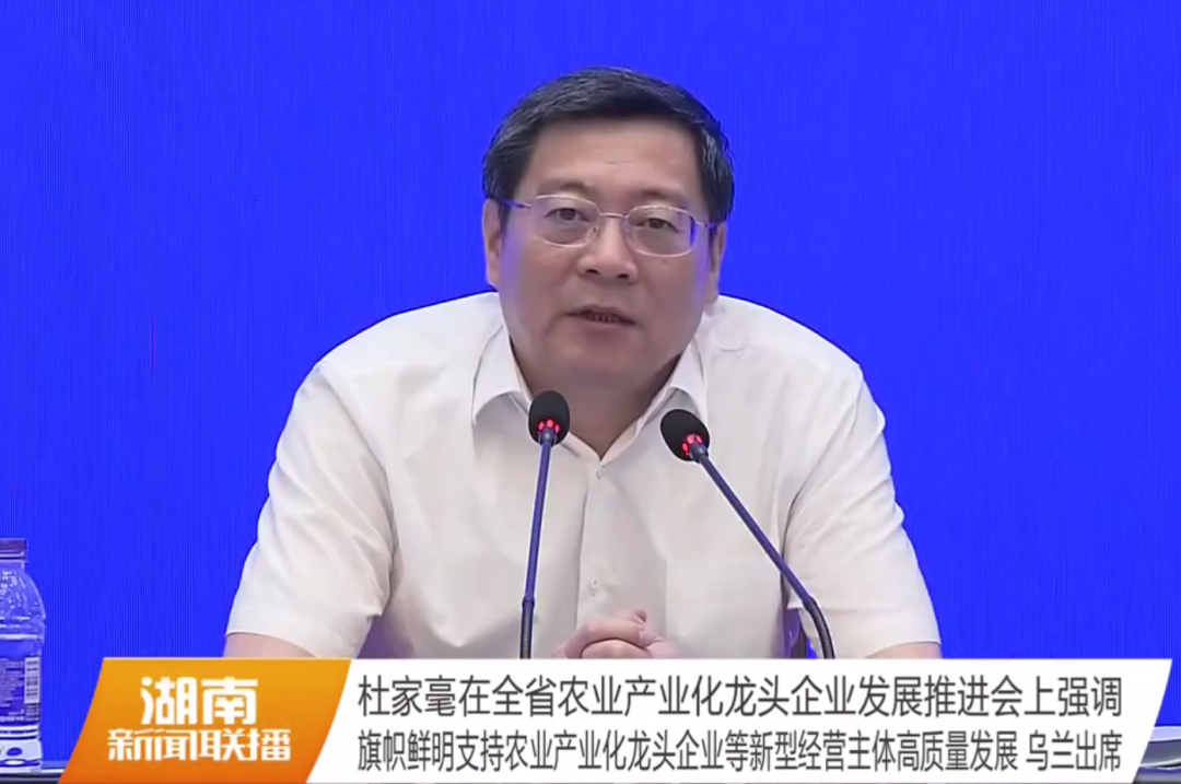 湖南军杰辣椒,军杰剁辣椒,湖南剁辣椒 