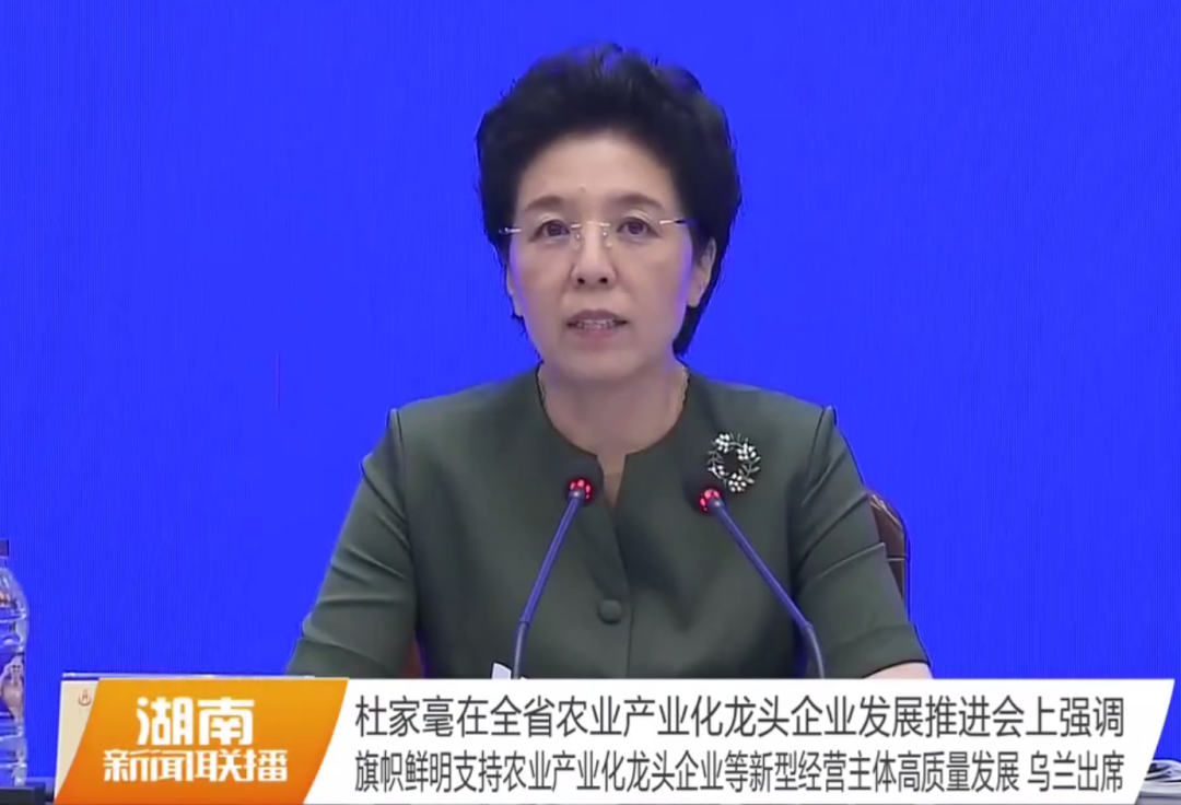 湖南军杰辣椒,军杰剁辣椒,湖南剁辣椒 