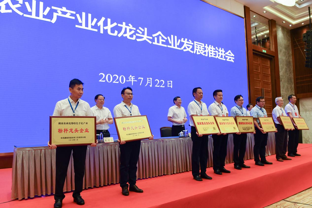 湖南军杰辣椒,军杰剁辣椒,湖南剁辣椒 