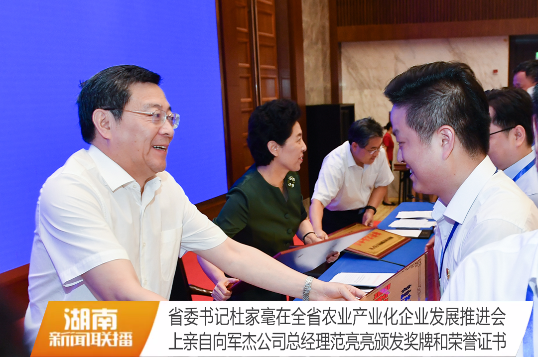 湖南军杰辣椒,军杰剁辣椒,湖南剁辣椒 