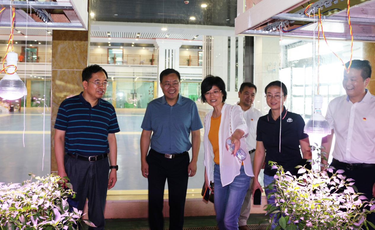 湖南军杰辣椒,军杰剁辣椒,湖南剁辣椒 
